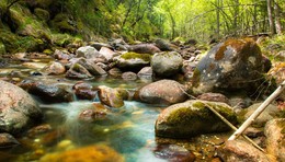 Taiga Fluss / ***