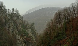 Nebel in den Bergen / ***