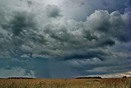Regenguss / ***