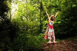 I'll follow the Sun / ***
