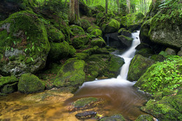  / in der Ysperklamm