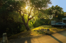 Crna Gora (Montenegro) #8 / ***