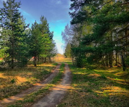 Forststraße / ***