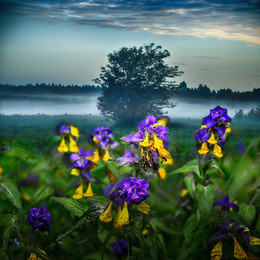 End of Summer / Konets leta