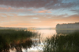 Frühlingsabend / ***