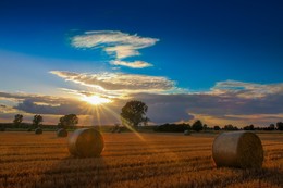 | AFTER HARVEST | / Landscape