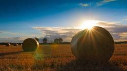 | sunbeams | / landscape
