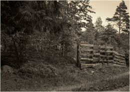 Zaun / ***