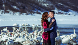  / beautiful winter wedding