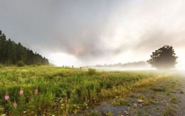 Misty Abend / ***