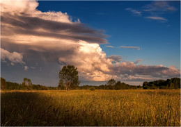 Abendhimmel / ***