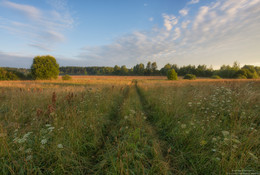 Feld / ***