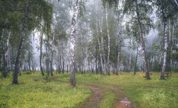 Am Morgen ist der Wald. / ***