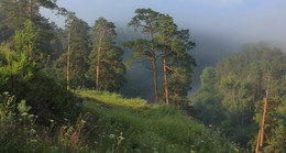 Sommermorgen / ***