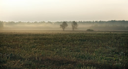 Die Ruhe / ***