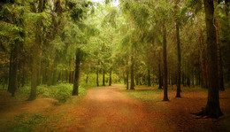 ... Walk in the Park / ***