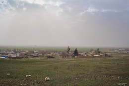  / Harran