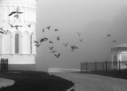 Morgendämmerung / ***