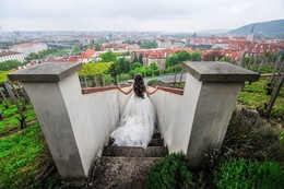 From the castle / ***