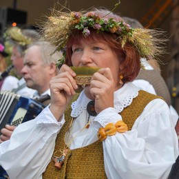  / Narodnyye muzykanty