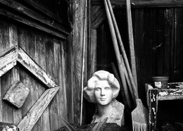 Blick / ***