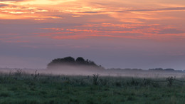 Morgendämmerung / ***