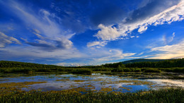 Sommerlandschaft / ***