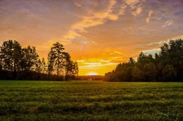 Die Sonne steigt / ***