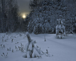 Blue Twilight / ***