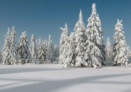 Snowy Schweigen / ................