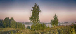 Nebel / ***