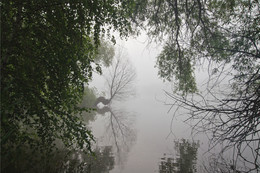 Fenster zur Natur / ***