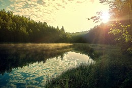 Morgen in den Wald / ***