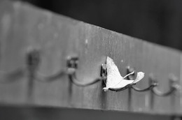 Ende der Saison / ***