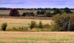 Ende der Saison / ***