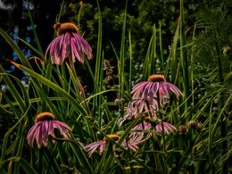 So ist der Sommer vorbei ... / ***
