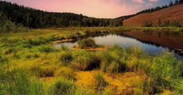 Lakeland Taiga ... / ***