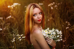 nature / ...