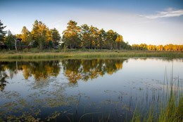 Forest Lake / ***