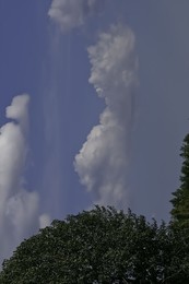  / ***
