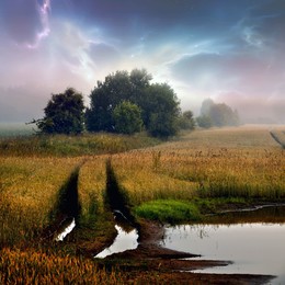 Nach dem Regen / Posle dozhdya