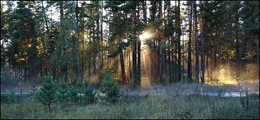 Abend / ....