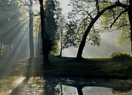 Im Morgenlicht / ***