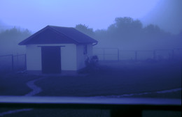 Morgen / ***
