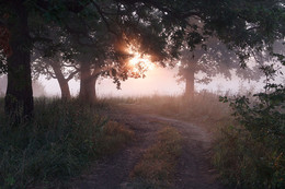 Morgendämmerung / ***