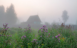 Im Nebel / ***