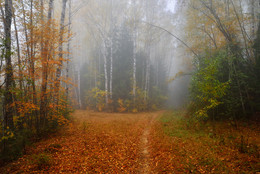 Herbst / ***
