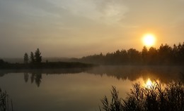 Morgen / ***