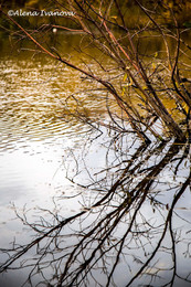 Herbst / ***