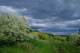 Frühling / ***